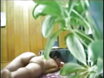 നേർഡ് സെക്സ് വീഡിയോ (ബ്രിറ്റ്നി സ്കൈ)