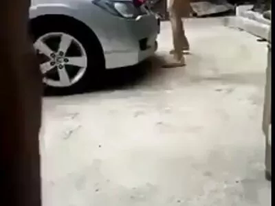 എൽസ ജീൻ അശ്ലീലം ഇഷ്ടപ്പെടുന്നു